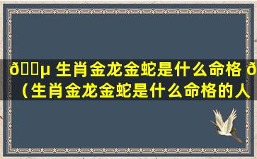 🐵 生肖金龙金蛇是什么命格 🌹 （生肖金龙金蛇是什么命格的人）